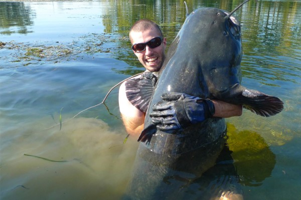 silure record en Moselle par Xavier