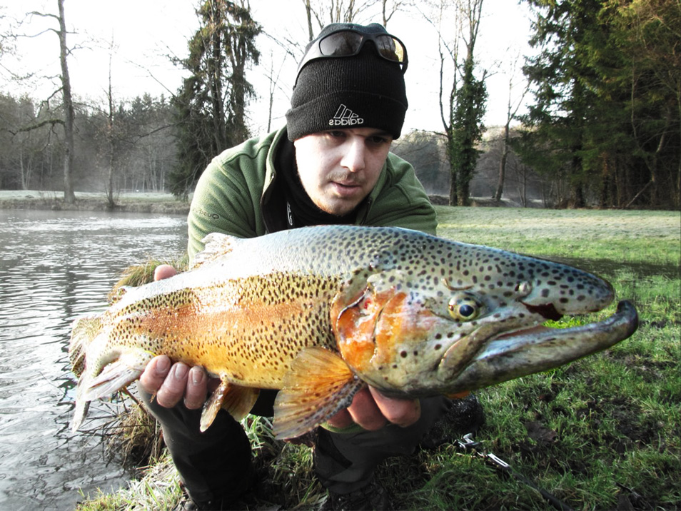 Franck-big-rainbow-trout-slider