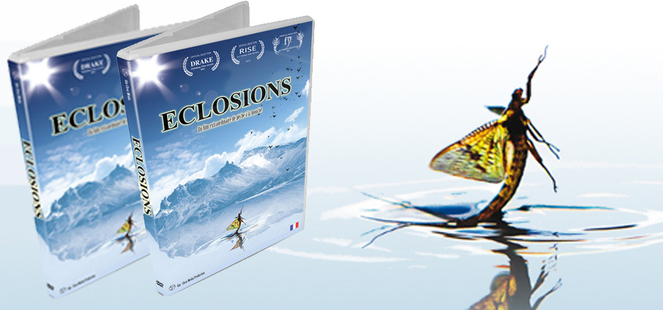 Eclosion-hatch-DVD