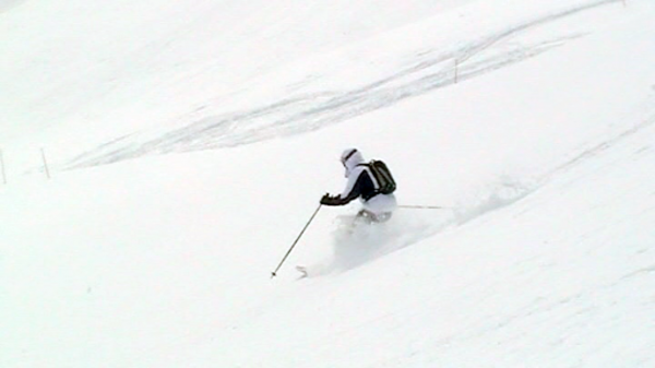 Sac à chaussures de ski 'Super Function' et Housse à skis 'Carver Pro' pour  1 Paire de skis + Bâtons + Chaussures + Casque - 190 cm