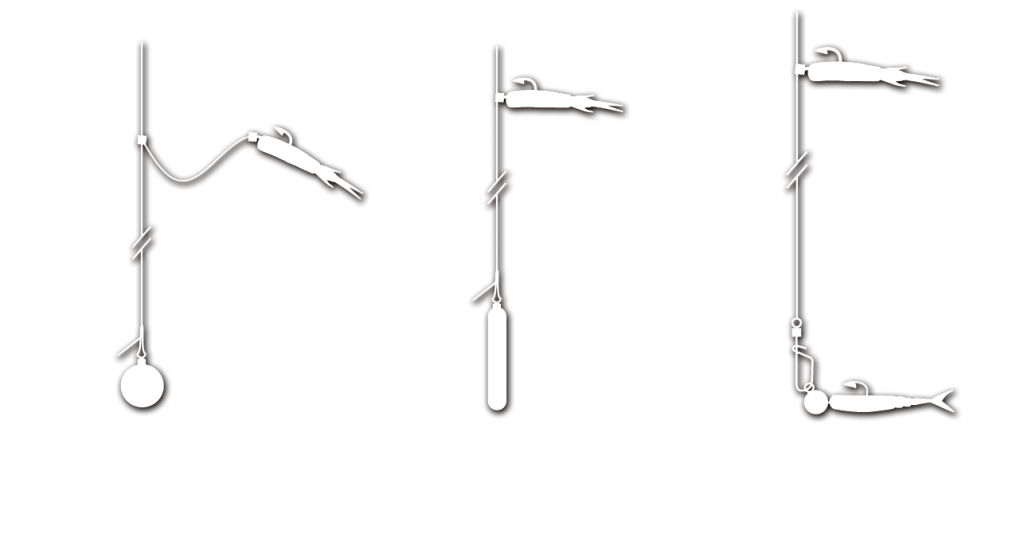 Schéma montage drop-shot